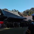 初詣に行きました！氷川神社