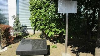 当時に犬は幸せだっただろう。