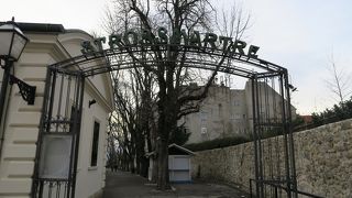 木立が印象的な美しい通りです！