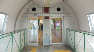 イルカショーが見れるかどうか