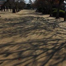 城山公園～松山城本丸広場