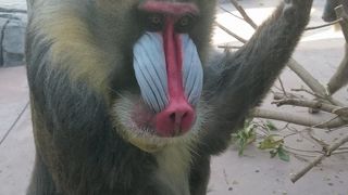 平日はガラガラで穴場です。