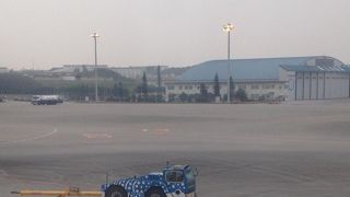 かわいいジンベエザメ柄のトーイングカー