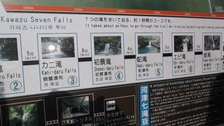 適度なハイキング