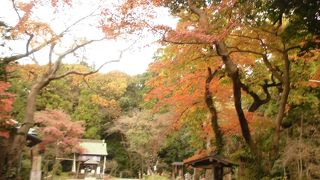 坂を上らなくてもいい