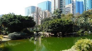 公園内のバードパーク