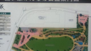 芝生が広がる大きな公園