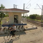 ウズベキスタン鉄道は貨物列車の輸送が多いようでした