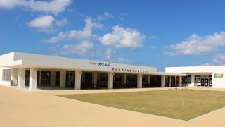 フードコートで格安ランチ