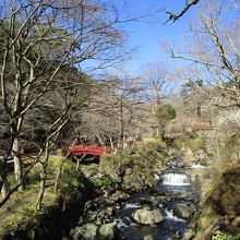 梅園の奥の方の景色