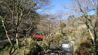 梅園の中を流れる美しい川