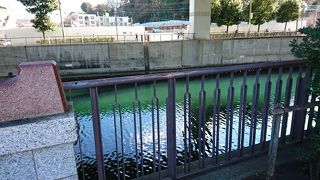 吉田新田の南側