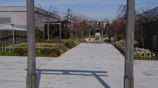 見晴らしもよし！