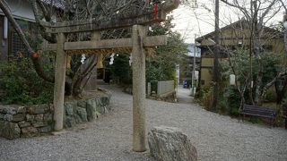 ピンポイントでここというところまではもう分からないのだそう