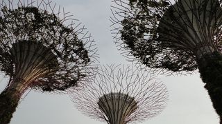 ユニークな人工の木