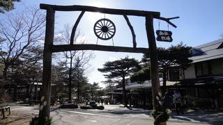 ロバかわいい！