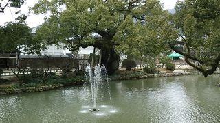 人間の過去・現在・未来