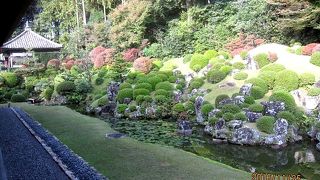 池泉式庭園に関心を奪われ勝ちですが、反対側の枯山水式庭園もお忘れなく！