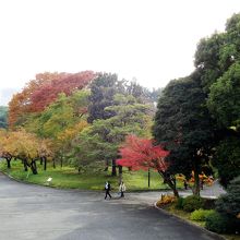 本丸跡からの眺め