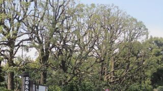 大きな国民公園