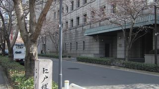 春は歩くのが楽しい通り