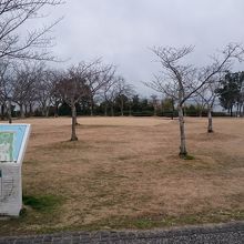 広い公園
