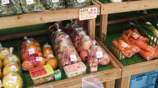 飛行機が見れます。