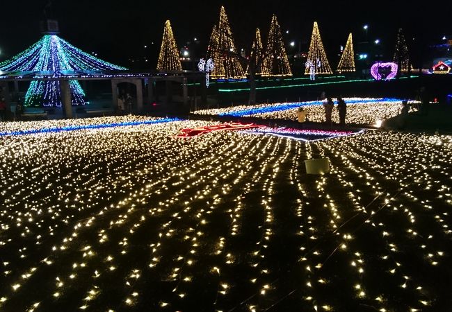 木曽三川公園センター 冬の光物語 クチコミ アクセス 営業時間 安八 海津 フォートラベル