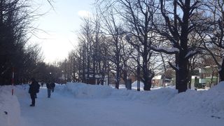 広くてまわるだけで長時間かかる