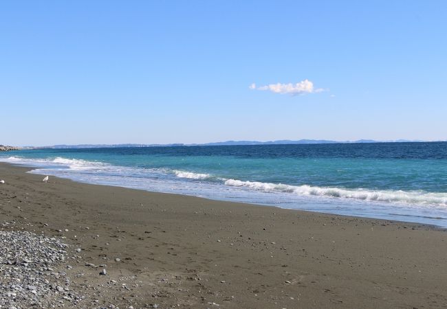 海に出る道が難しかったです。