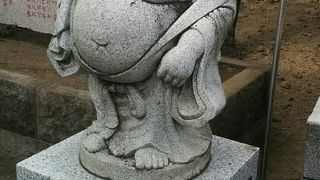 化石は何処？　安養院