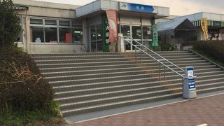 今日は桜島見えない