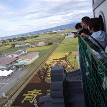 田んぼアートの展望台の通路がこのくらい狭いです!