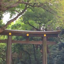 店内カウンター席から