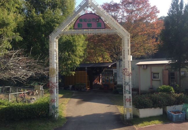 動物との距離が近い