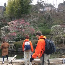 またちがった季節に行きたくなったお寺