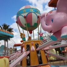 まるでダンボちゃんみたいで可愛い