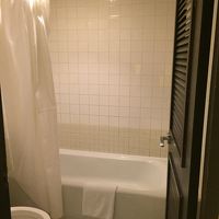 浴槽はひろいですが、シャワーヘッドは外国に多い固定式です。