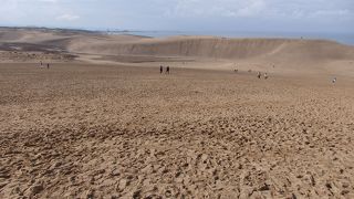 天候にめぐまれて・・・冬の砂丘