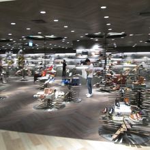 サヤーム ディスカバリー センター