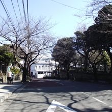 ほぼ坂上からの眺め