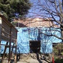 本殿 (改修中？)