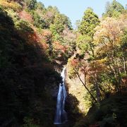 紅葉シーズンはオススメ