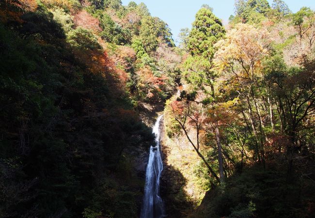 紅葉シーズンはオススメ