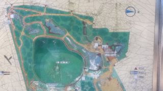 高低差のある広い公園