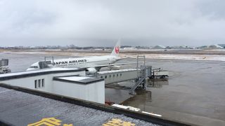 滑走路見渡せます