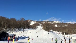 スタッフが優しい