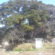 鳥居が建てられちょっと神秘的な雰囲気でした