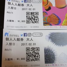 入場券はテキトーに可愛い