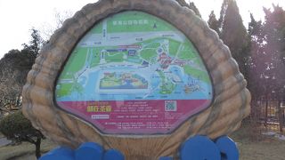 家族連れやカップルの憩いの場